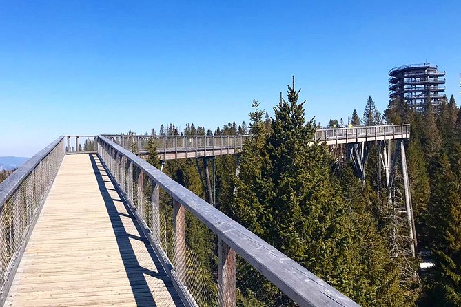 Full-Day Zakopane and Slovakia Treetop Walk From Krakow - Krupowki Street in Zakopane: where you recharge and browse