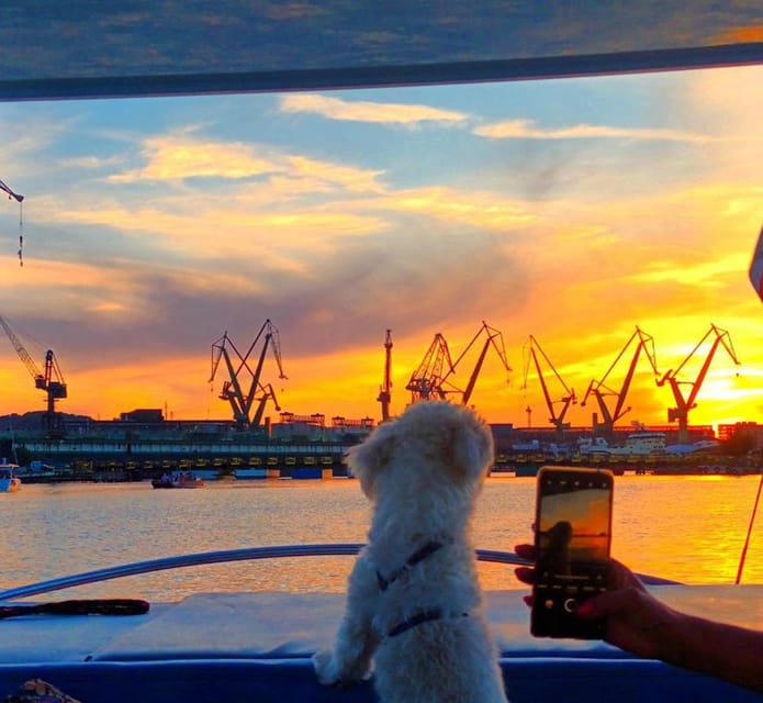 Gdańsk: Motława River Eco Cruise at Sunset with Prosecco - Chance to drive the boat, and the “fun” factor that makes it worth it