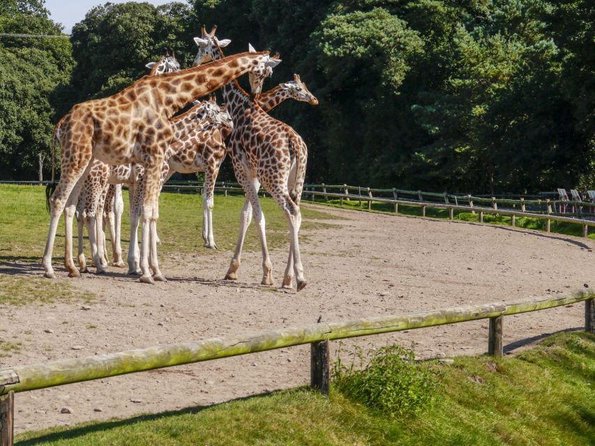 Gdansk: Oliwa Zoo with Tickets and Roundtrip Transportation - Key things I’d focus on before you go