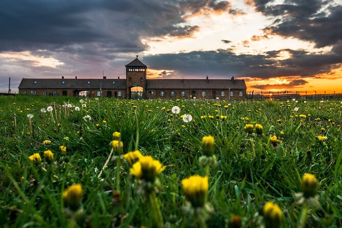 Guided Tour Krakow to Auschwitz-Birkenau with pickup options - Pickup and Departure Timing: The Real Make or Break