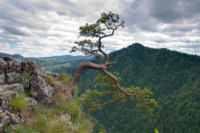 Half-Day Dunajec River Rafting tour from Krakow - Quick take: 6 things you should know