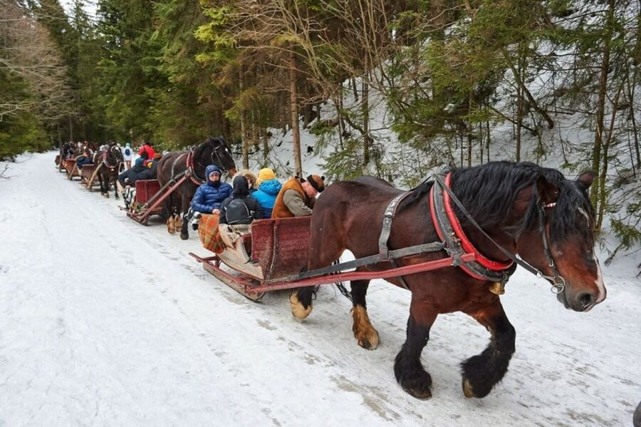 Horse Sleigh 2-3h Ride with Hot Springs or Zakopane Combos - Zakopane, Chocholow, and the Wooden-Craft Stop You Will Actually Remember