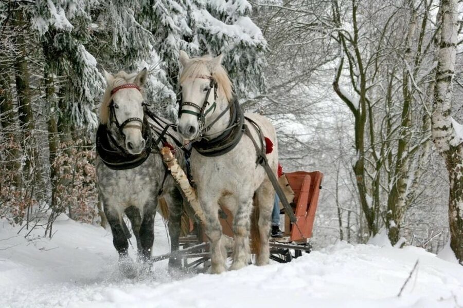 Horse Sleigh 2-3h Ride with Hot Springs or Zakopane Combos - Chocholowska Baths: What 36°C Thermal Water Feels Like After Snow