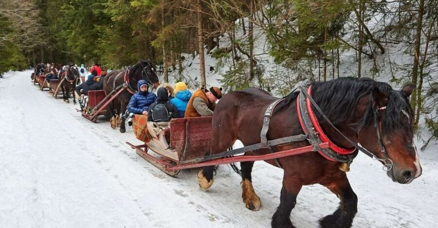 Horse Sleigh 2-3h Ride with Hot Springs or Zakopane Combos - Gubalowka Funicular: The Best Payoff for the Least Effort