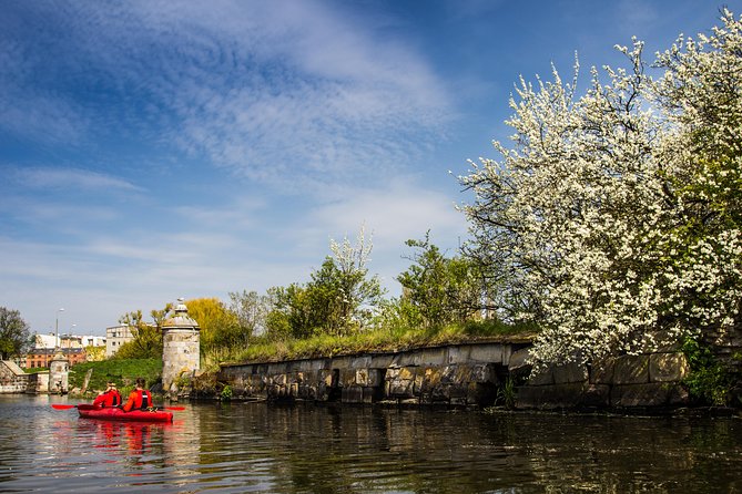 Islands of Gdansk Private Kayak Tour - Paddling for beginners: coaching, pace, and staying comfortable