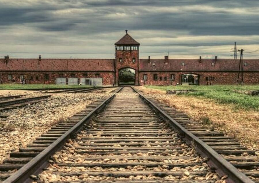 Krakow and Auschwitz Small-Group Tour from Warsaw with Lunch - Price and value: is $392 a fair deal for this day?