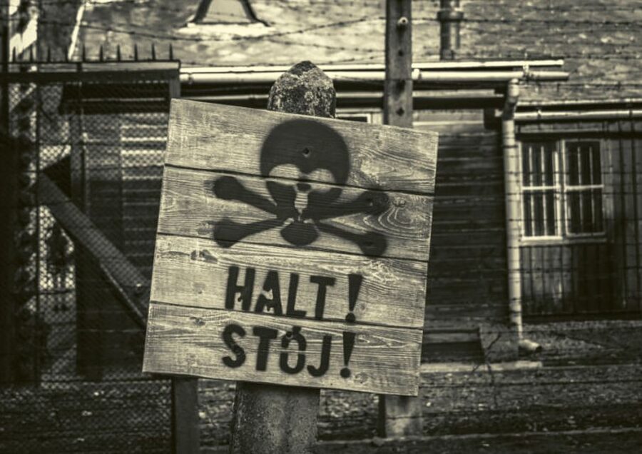 Krakow and Auschwitz Small-Group Tour from Warsaw with Lunch - Transportation and timing: what a full-day from Warsaw really feels like