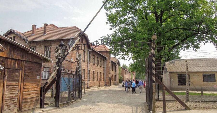 Krakow: Auschwitz and Wieliczka Salt Mine Combo Tour - One long day with two UNESCO sites near Krakow