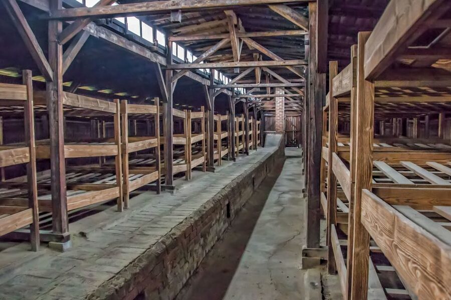 Krakow: Auschwitz and Wieliczka Salt Mine Combo Tour - Who this Krakow Auschwitz and Wieliczka combo tour fits best