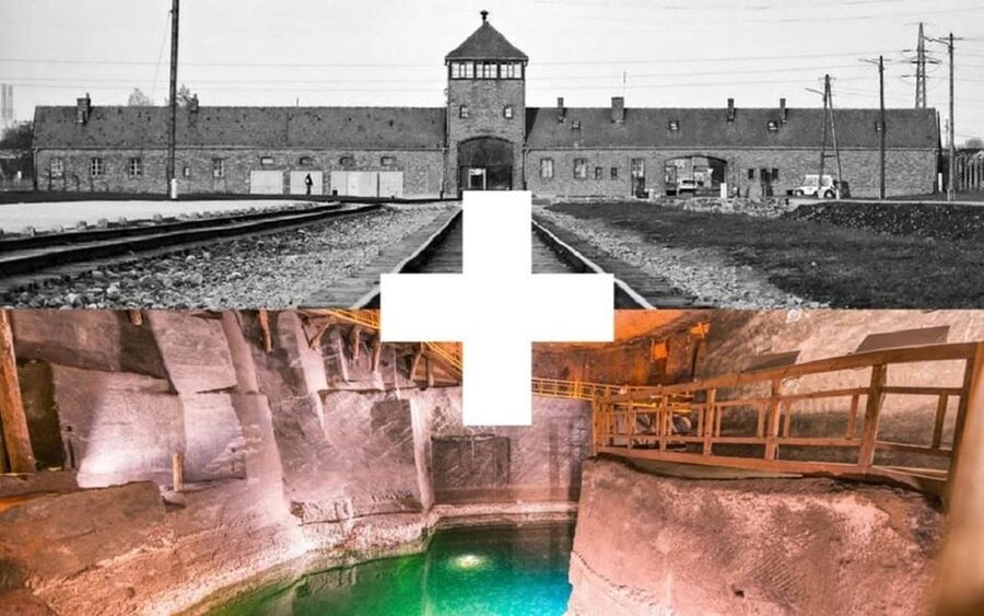 Krakow: Auschwitz-Birkenau and Salt Mine Guided Tour - Key highlights at a glance