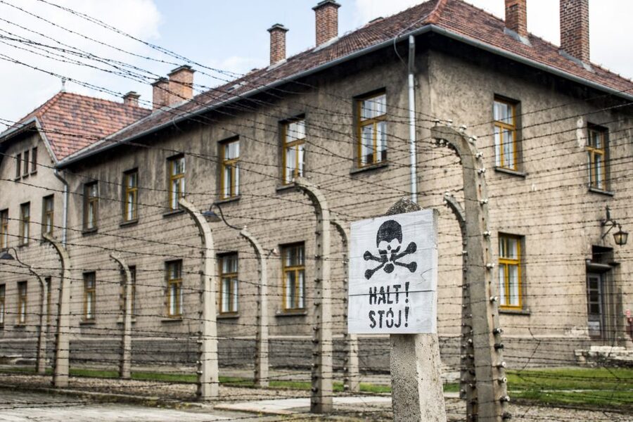 Krakow: Auschwitz-Birkenau and Salt Mine Guided Tour - Timing and transfers: how the day is built