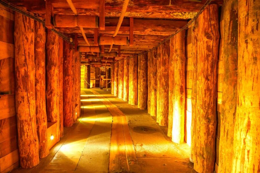 Krakow: Auschwitz-Birkenau and Wieliczka Salt Mine Day Trip - Key highlights worth knowing before you go