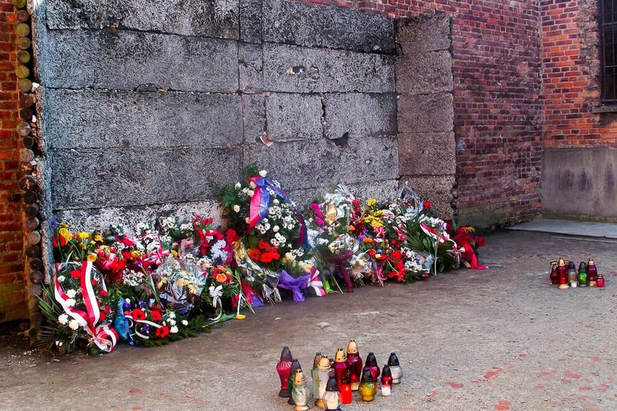 Krakow: Auschwitz-Birkenau Day Trip with Tour Leader - The Phone Guidebook: Self-Guided, Not Solo