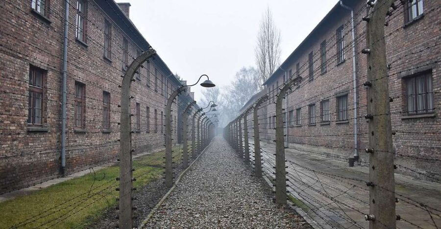 Krakow: Auschwitz-Birkenau Day Trip with Tour Leader - Transport, Check-In, and the Real-World Wait Times