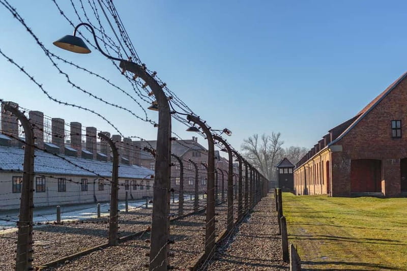 Krakow: Auschwitz-Birkenau Entry Ticket and Transfer - Key highlights you will feel on the day