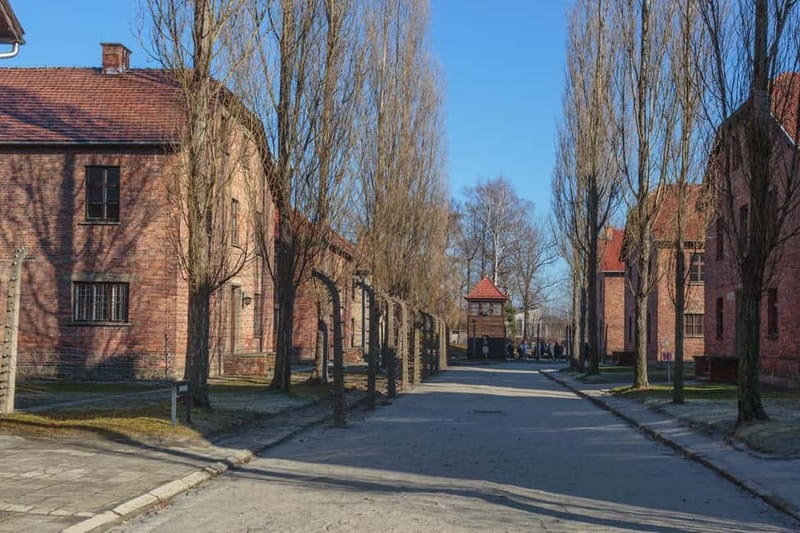 Krakow: Auschwitz-Birkenau Entry Ticket and Transfer - Kraków pickup and the ride west: getting there without hassle