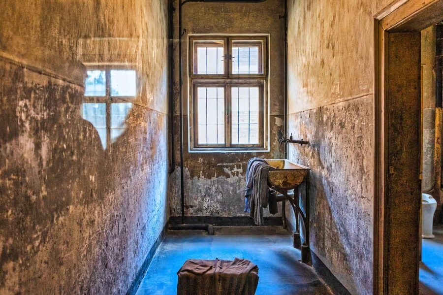 Krakow: Auschwitz-Birkenau Guided Tour and Private Transport - Price and value: what $387 per person really covers