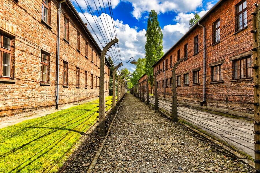 Krakow: Auschwitz-Birkenau Guided Tour and Private Transport - Who this tour fits best, and who might want something else