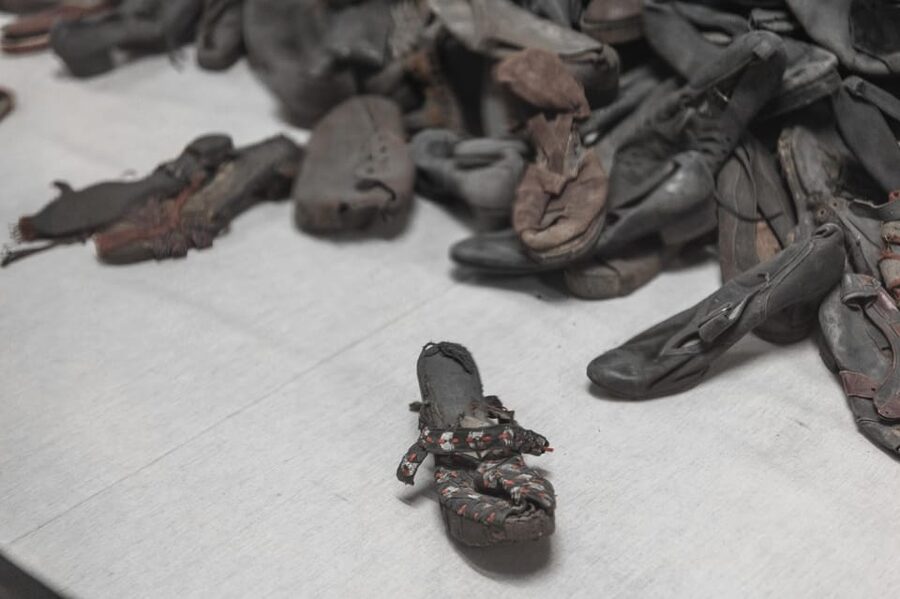 Krakow: Auschwitz-Birkenau Guided Tour and Private Transport - My booking call: should you choose this Auschwitz-Birkenau day trip?