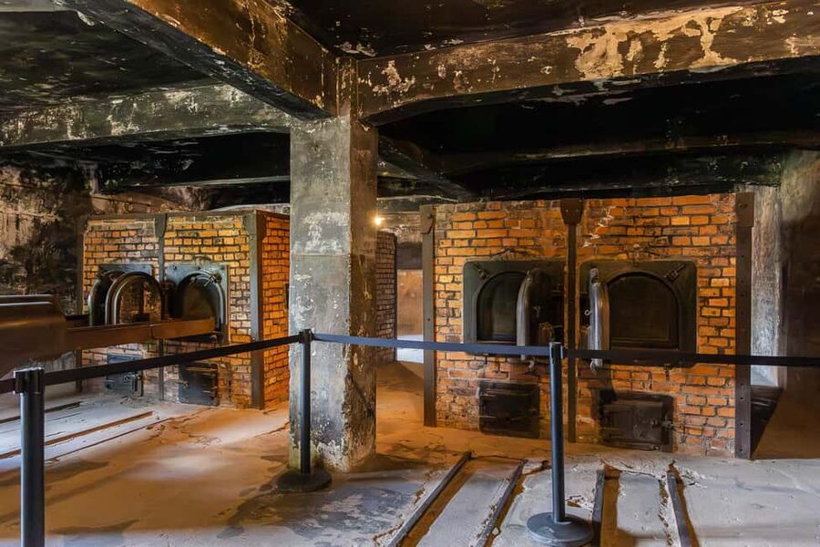 Krakow: Auschwitz-Birkenau Guided Tour with Transportation - Drop-off and the end of your day in Krakow