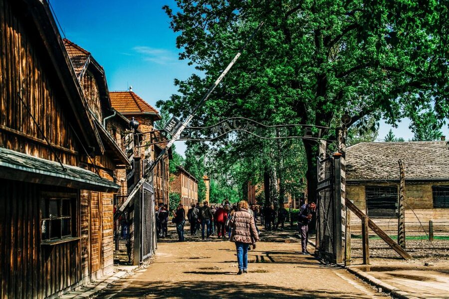 Krakow: Auschwitz-Birkenau Live Guided Tour & Hotel Pickup - Is This Krakow Auschwitz-Birkenau Tour Good Value at Around $22?