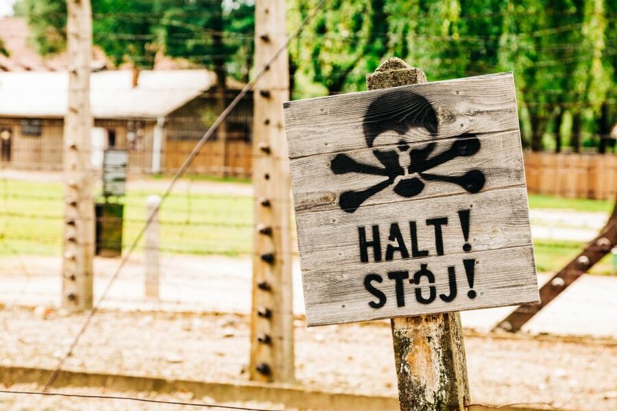 Krakow: Auschwitz-Birkenau Live Guided Tour & Hotel Pickup - The Documentary Film on the Bus: Why That Small Prep Matters