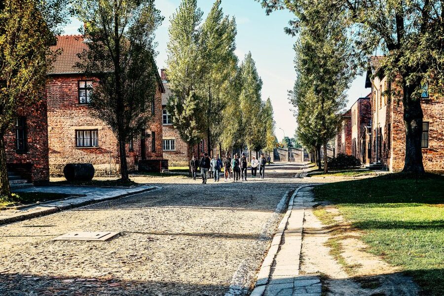 Krakow: Auschwitz-Birkenau Live Guided Tour & Hotel Pickup - The 15-Minute Break and the Transfer: A Breather, Not a Meal