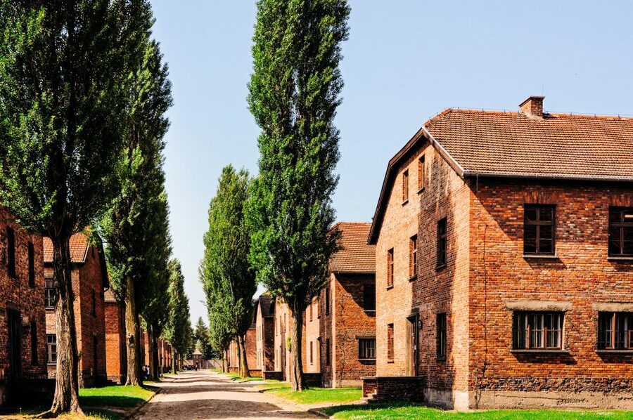 Krakow: Auschwitz-Birkenau Live Guided Tour & Hotel Pickup - Auschwitz II-Birkenau: Mass Extermination Sites and Preserved Barracks Ruins