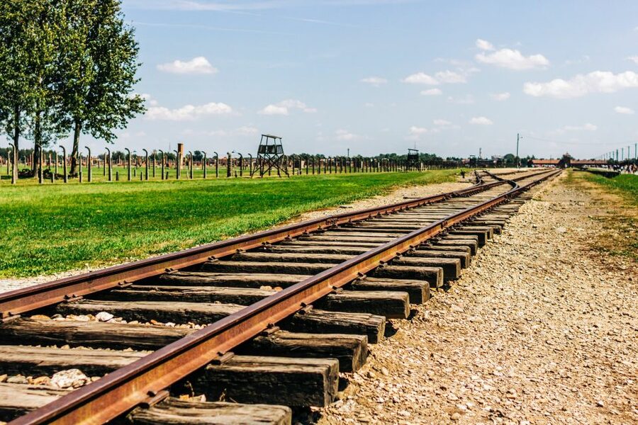 Krakow: Auschwitz-Birkenau Live Guided Tour & Hotel Pickup - Hotel Pickup and Mercedes Transport: Less Hassle, More Headspace