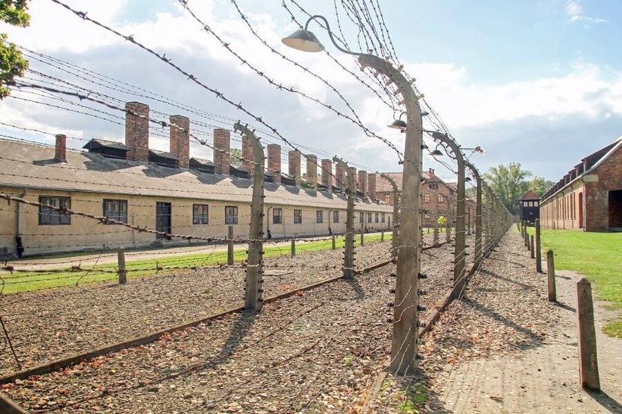 Krakow: Auschwitz Birkenau Museum Guided Tour with Pickup - From Krakow to Auschwitz: the real value is the early, organized start