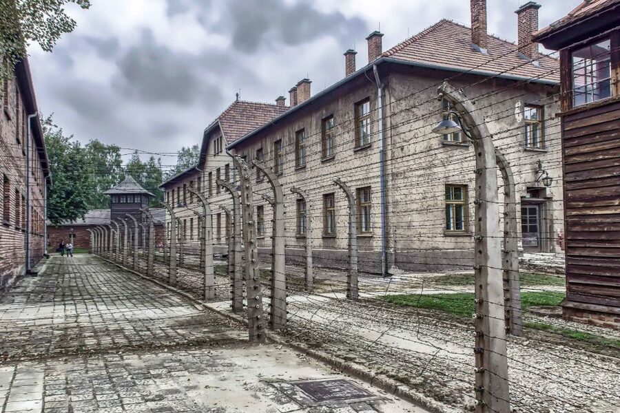 Krakow: Auschwitz Birkenau Museum Guided Tour with Pickup - What the guide does for you: facts, tone, and pacing