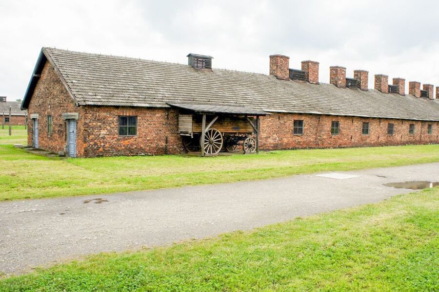 Krakow: Auschwitz Birkenau Museum Guided Tour with Pickup - What to bring for comfort and a smooth security day