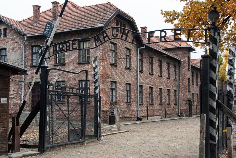 Krakow: Auschwitz Birkenau Museum Guided Tour with Pickup - Who should book this Auschwitz Birkenau guided tour from Krakow?