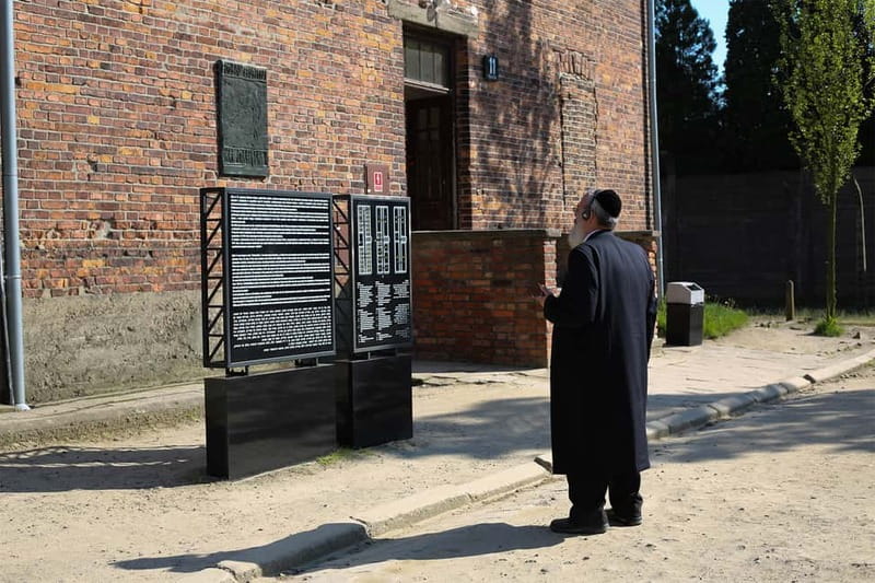 Krakow: Auschwitz-Birkenau Private Guided Tour - Birkenau II Memorial: gas chambers, rail lines, and space for reflection