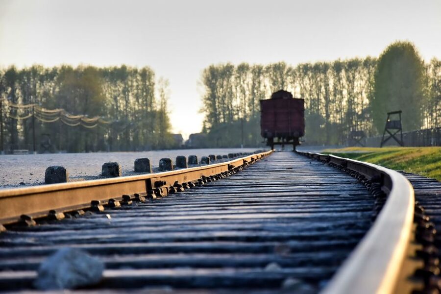 Kraków: Auschwitz-Birkenau & Salt Mine Full-Day Guided Tour - Key Things I’d Prioritize Before You Go