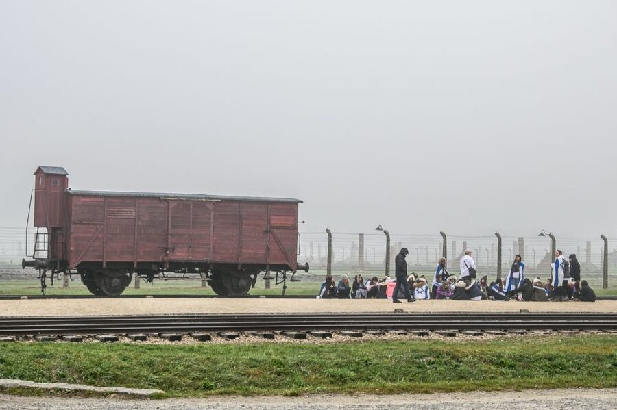 Kraków: Auschwitz-Birkenau & Salt Mine Full-Day Guided Tour - What This Tour Includes (and Why It Matters)