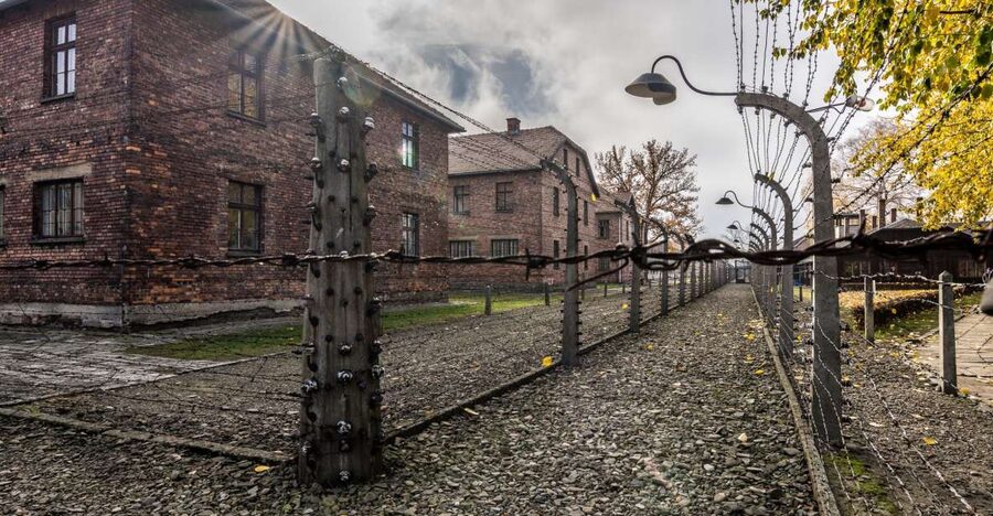 Kraków: Auschwitz-Birkenau & Salt Mine Full-Day Guided Tour - The Value: Two UNESCO-Linked Icons in One Organized Day