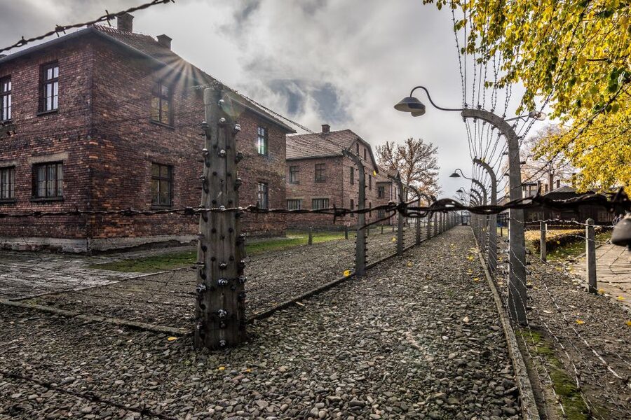 Kraków: Auschwitz-Birkenau & Salt Mine Full-Day Guided Tour - Auschwitz II-Birkenau: Seeing the Final Solution in Context