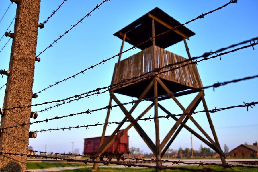 Kraków: Auschwitz-Birkenau & Salt Mine Full-Day Guided Tour - The Bus Ride: Air-Conditioned Comfort for a Long Day