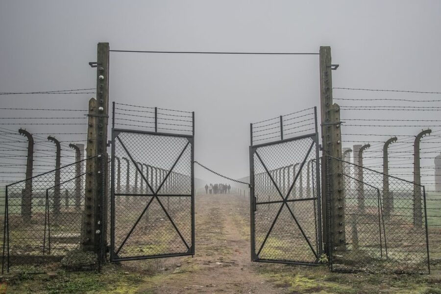 Kraków: Auschwitz-Birkenau & Salt Mine Full-Day Guided Tour - Timing and the Early Pickup Reality (How the Day Actually Feels)