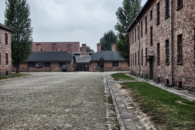 Krakow: Auschwitz-Birkenau Shared English Tour and Transfer - English Guides, Drivers, and Why Delivery Matters Here