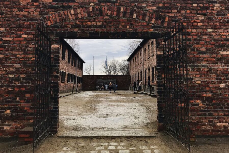 Krakow: Auschwitz-Birkenau Tour Limited to 15 Visitors - Price and value: what $89 buys you (and what it saves)