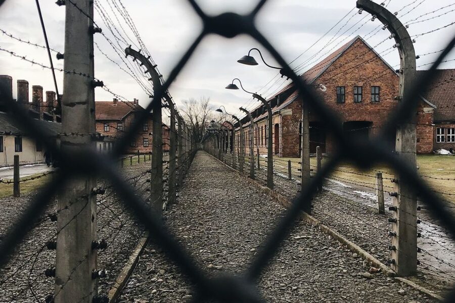 Krakow: Auschwitz-Birkenau Tour Limited to 15 Visitors - Should you book this Auschwitz-Birkenau tour limited to 15?
