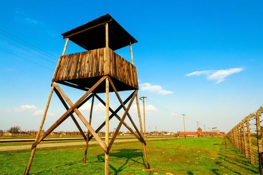 Krakow: Auschwitz Guided Tour with Optional Hotel Pickup - Price and Value at About $69 Per Person
