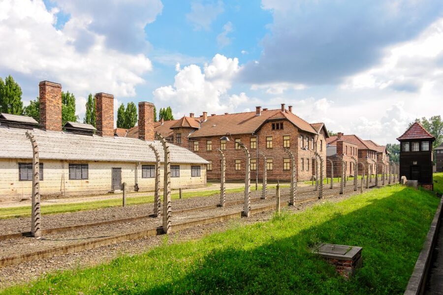 Krakow: Auschwitz Guided Tour with Pickup and Optional Lunch - Price and value: what about $54 includes