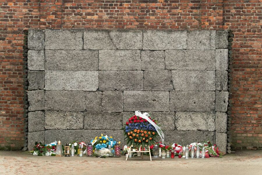 Krakow: Auschwitz Guided Tour with Pickup and Optional Lunch - Skip-the-line tickets, security, and what can still create waiting