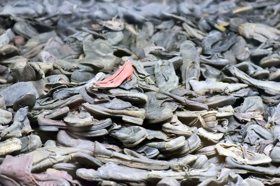Krakow: Auschwitz Guided Tour with Pickup and Optional Lunch - Pickup and bus transfer, and how the timing feels