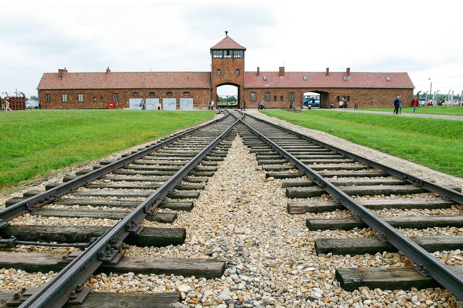 Krakow: Auschwitz & Wieliczka Salt Mine Guided Day Tour - Key highlights at a glance