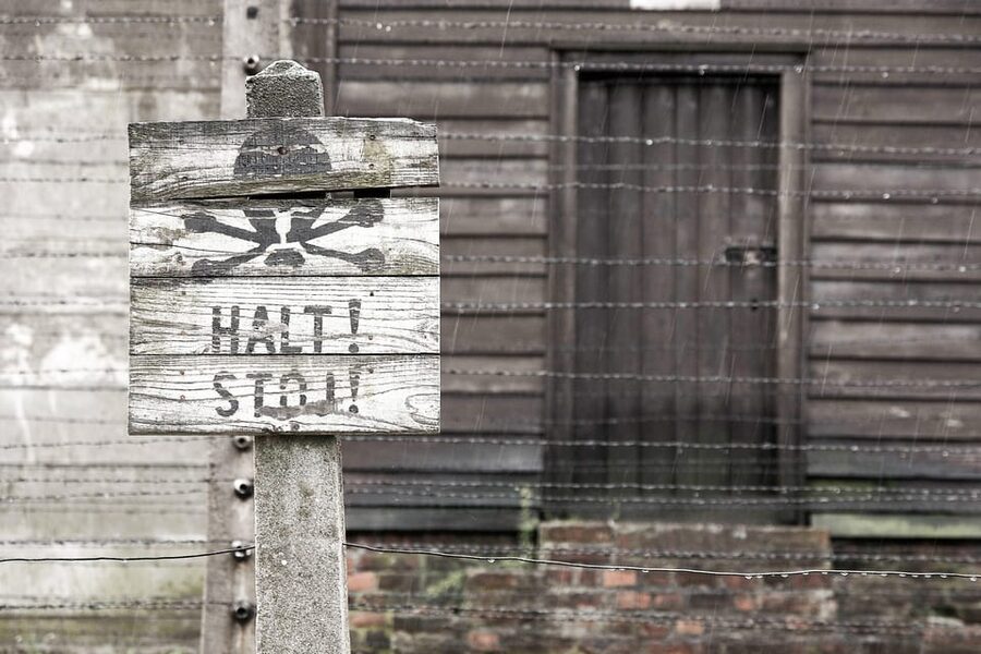 Krakow: Auschwitz & Wieliczka Salt Mine Guided Day Tour - Price and value: why the $54 combo can make sense