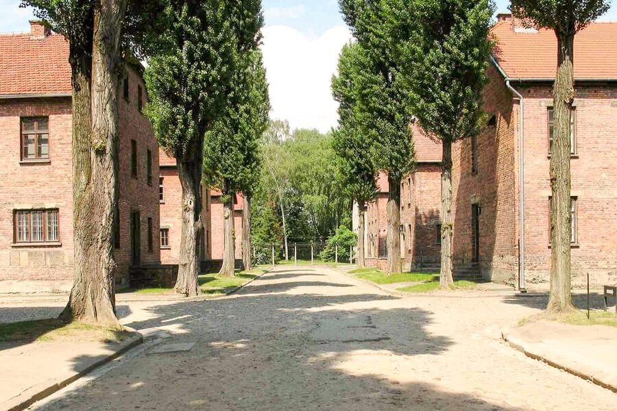 Krakow: Auschwitz & Wieliczka Salt Mine Guided Day Tour - Small-group feel, guides like Anna, Walker, Michal, and drivers on schedule